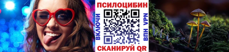 купить закладку  Елец  Галлюциногенные грибы MAGIC MUSHROOMS 